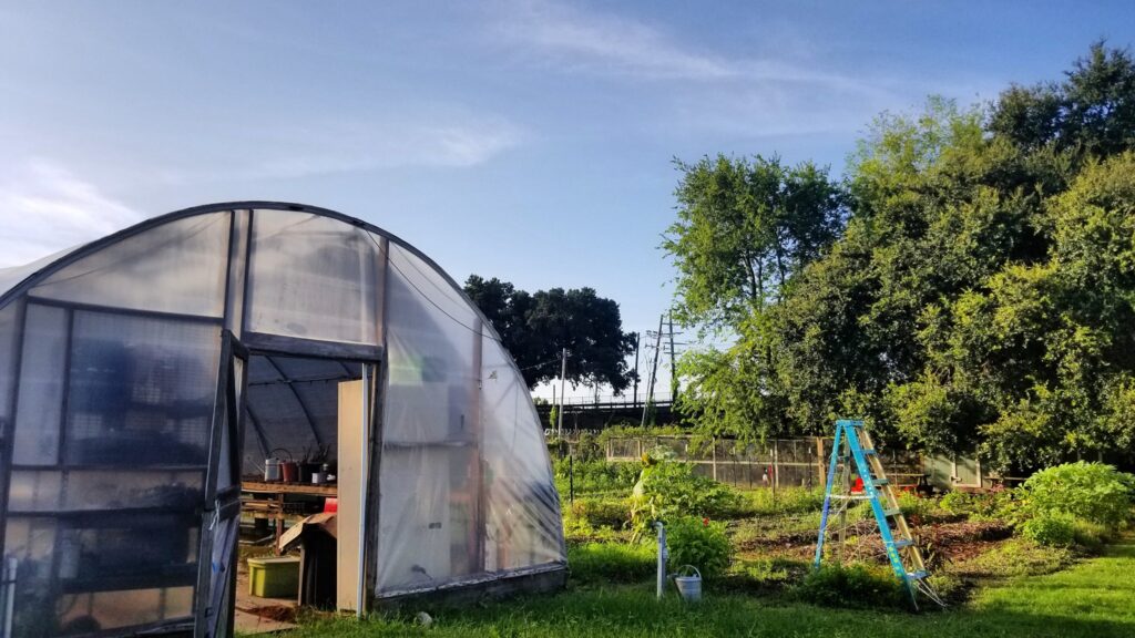 A curved building made of transparent plastic and metal stands next to a thriving garden plot with a blue ladder standing in it. There are trees along the right side of the photo. Inside the curved building are cabinets, shelves, and tools.